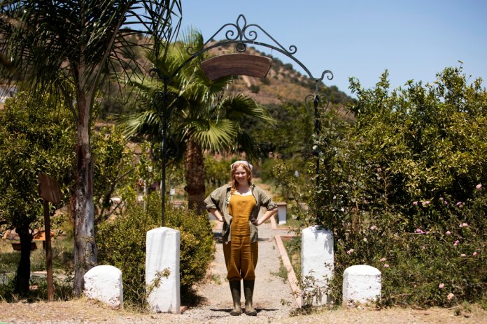 arbusti mediteraneeni arbusti mediteraneeni