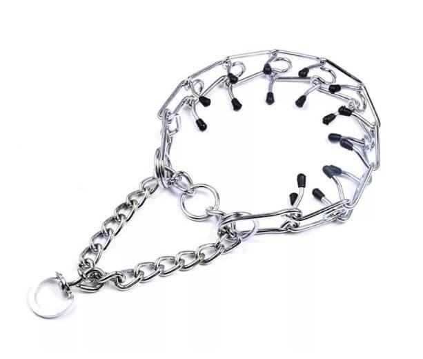 zgarda de forta zgarda de forta