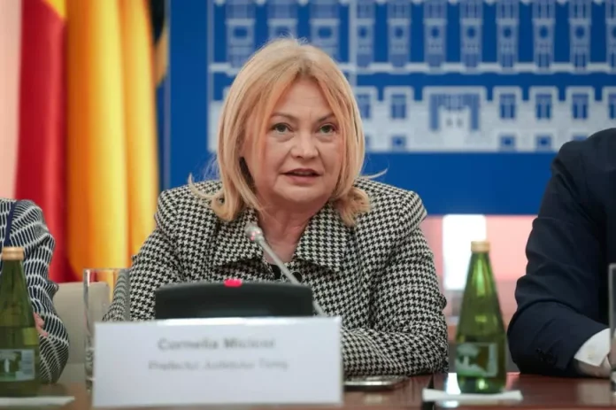 Apogeul digitalizării: cazier judiciar generat prin aplicația MAI, nevalidat în Timișoara la testul pentru obținerea permisului auto Apogeul digitalizării: cazier judiciar generat prin aplicația MAI, nevalidat în Timișoara la testul pentru obținerea permisului auto