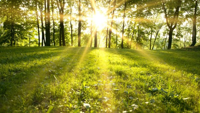 Avertizarea meteorologică îmbunătățită de către specialiștii ANM. Regiunile influențate de zăpadă până joi dimineața Avertizarea meteorologică îmbunătățită de către specialiștii ANM. Regiunile influențate de zăpadă până joi dimineața. HARTĂ