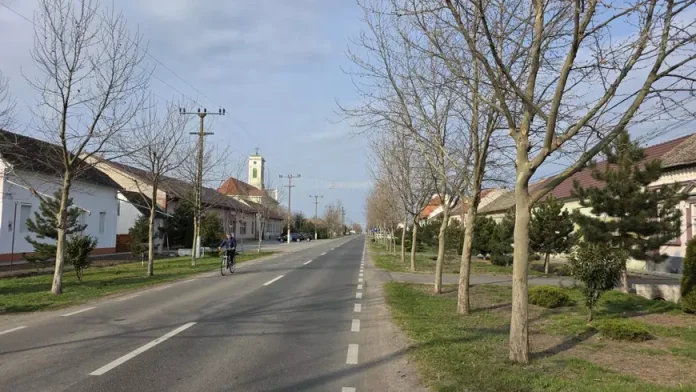 Român întors acasă după 25 de ani în Germania: „Și urzica e mai frumoasă aici decât trandafirii de acolo” Român întors acasă după 25 de ani în Germania: „Și urzica e mai frumoasă aici decât trandafirii de acolo”